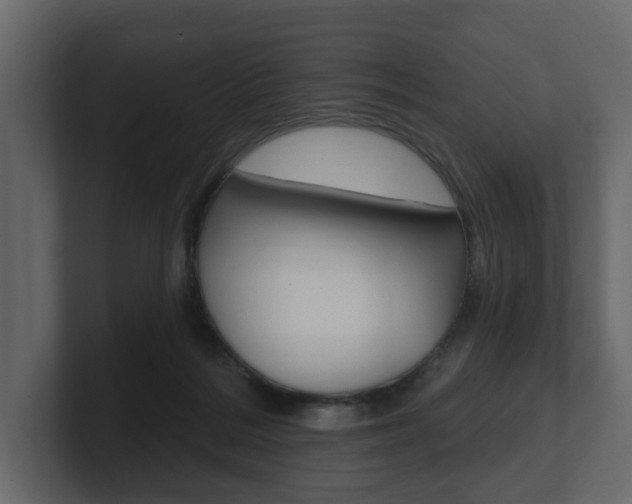 X0000101180220200806270833