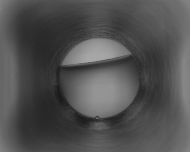 X0000101180224200806270833