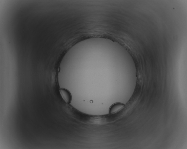 X0000101180231200806270833