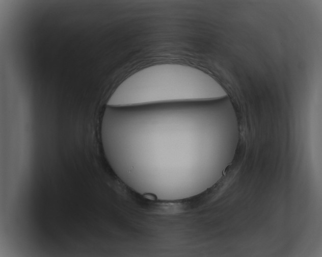 X0000101180233200806270833