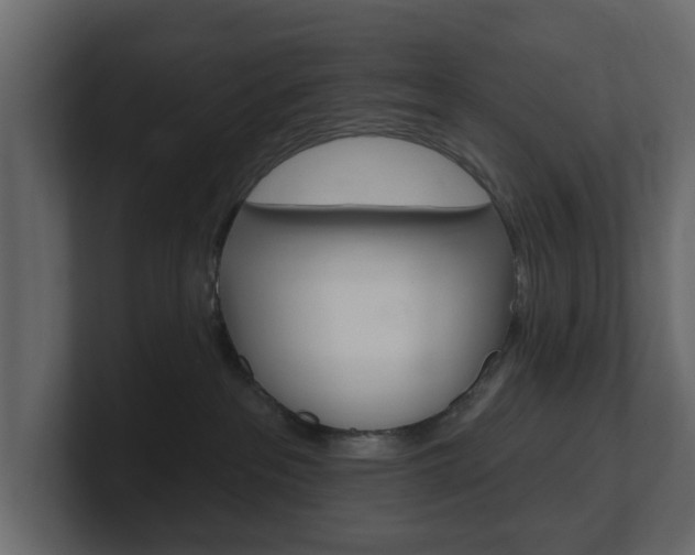 X0000101180237200806270833