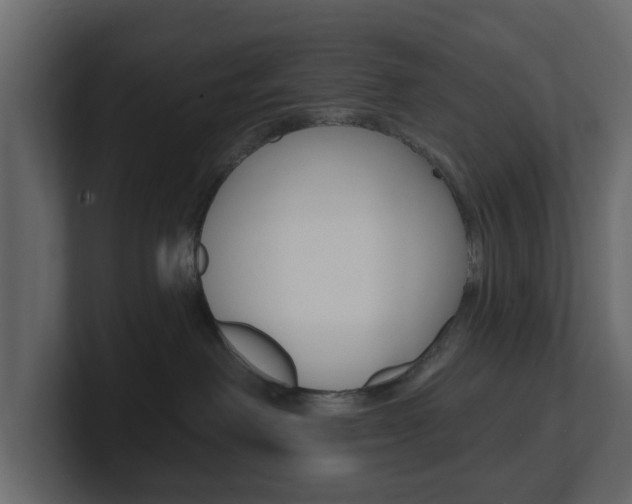 X0000101180238200806270833