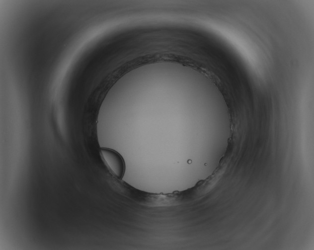 X0000101180239200806270833