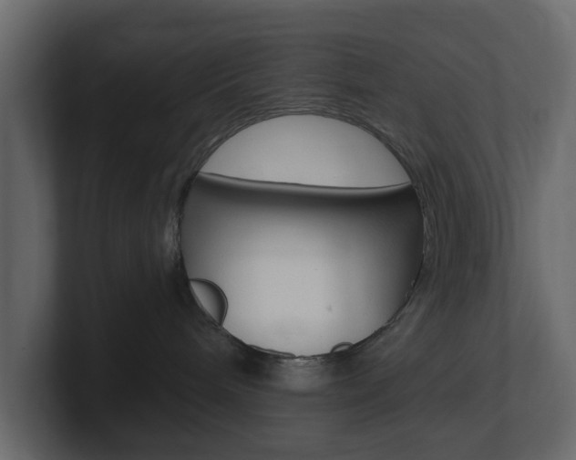 X0000101180240200806270833