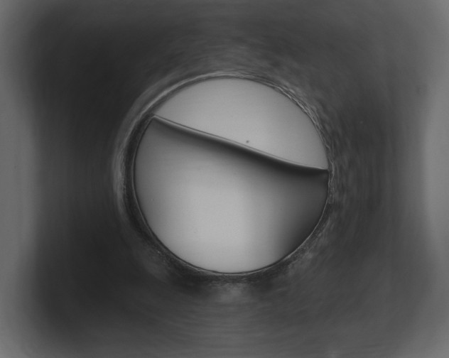 X0000101180247200806270832