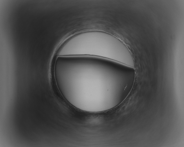 X0000101180248200806270832