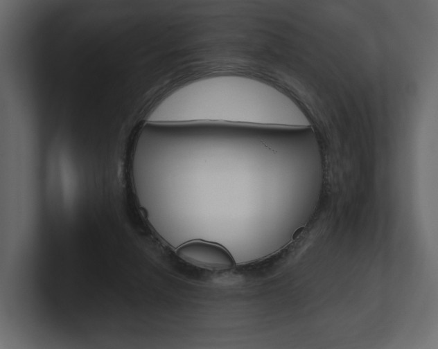 X0000101180258200806270832