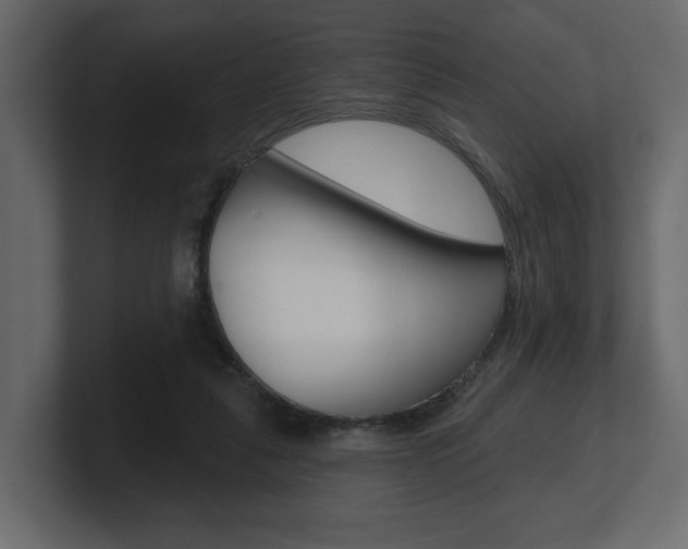 X0000101180259200806270832