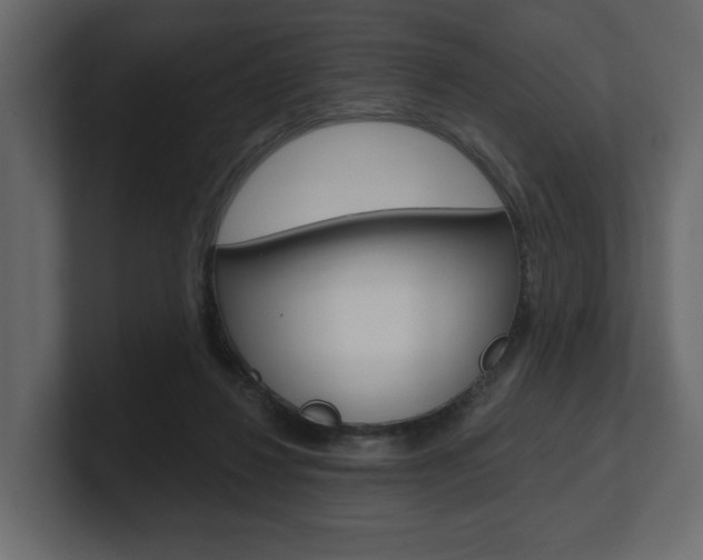 X0000101180260200806270832