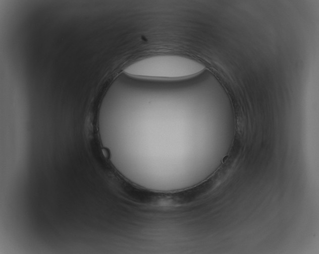 X0000101180264200806270833
