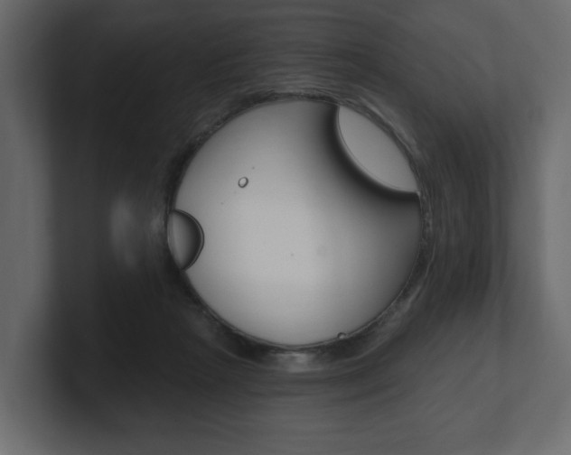 X0000101180265200806270833