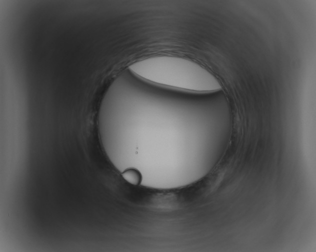 X0000101180271200806270833