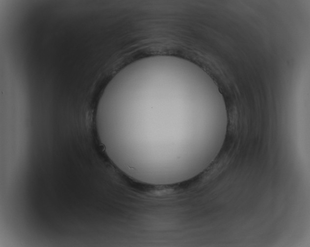 X0000101180278200806270833