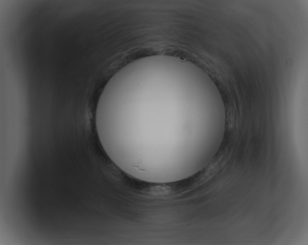 X0000101180279200806270833