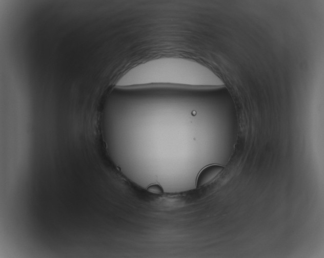 X0000101180280200806270833