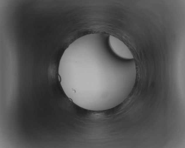 X0000101180283200806270833