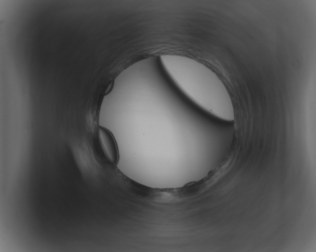 X0000101180285200806270833