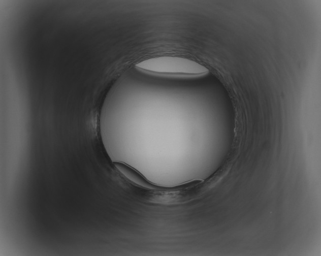 X0000101180288200806270833