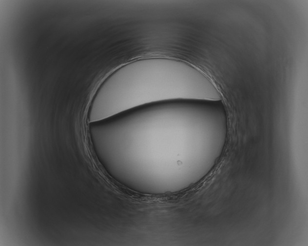 X0000101180289200806270832