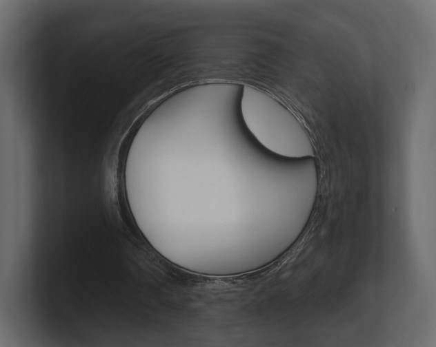 X0000101180290200806270832