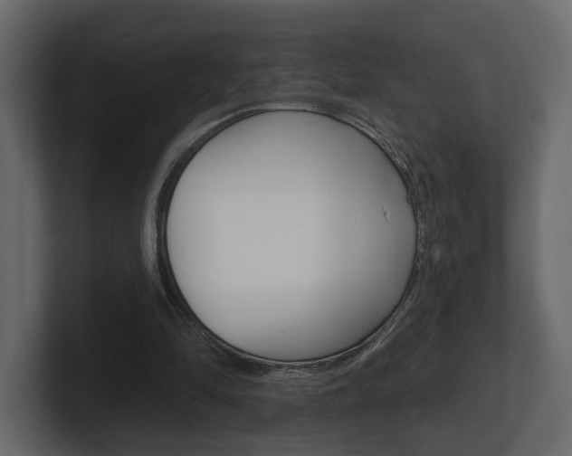 X0000101180294200806270832