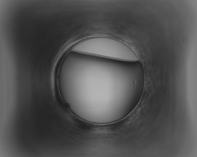 X0000101180296200806270832