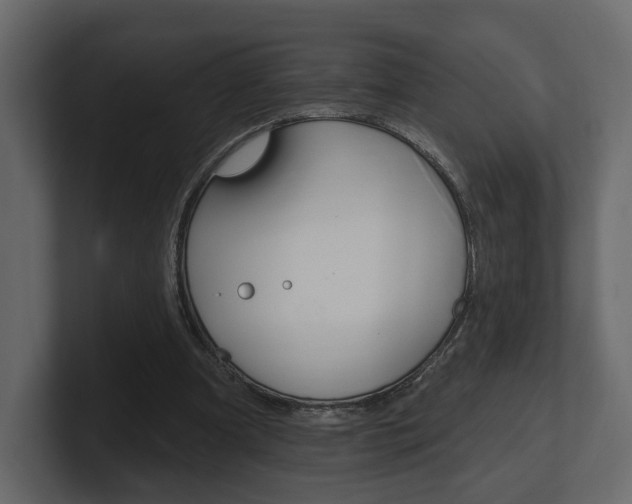 X0000101180297200806270832