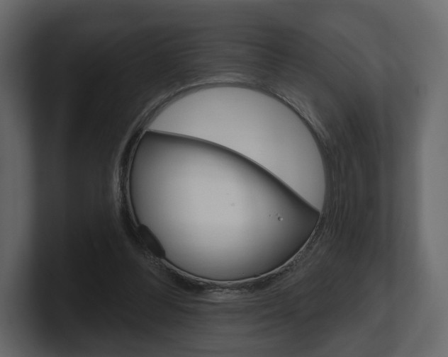 X0000101180300200806270832