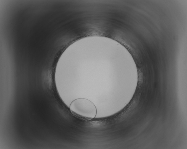 X0000101180302200806270832
