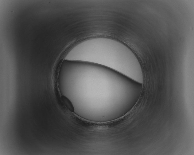 X0000101180304200806270832