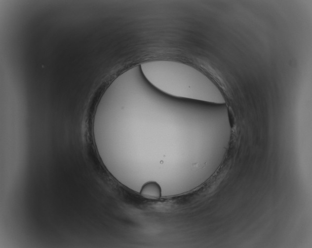 X0000101180306200806270832