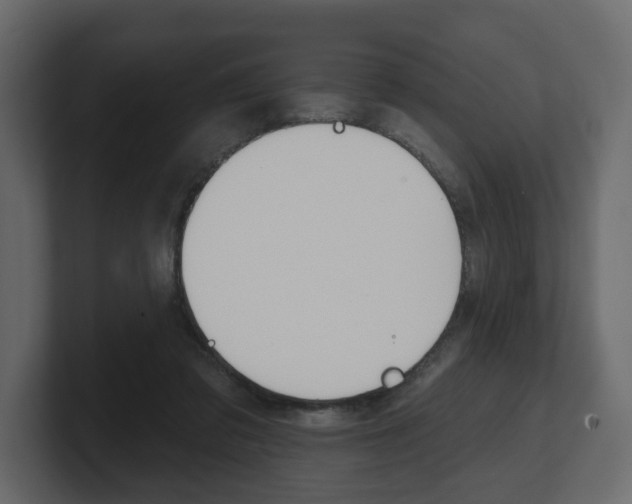 X0000101180309200806270832