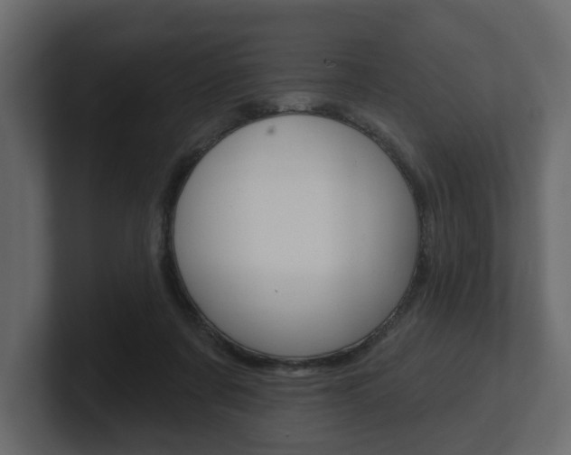 X0000101180311200806270832