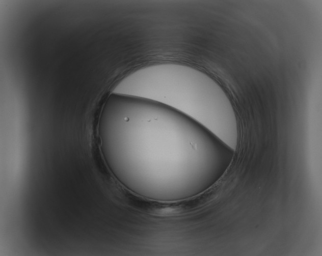 X0000101180312200806270832