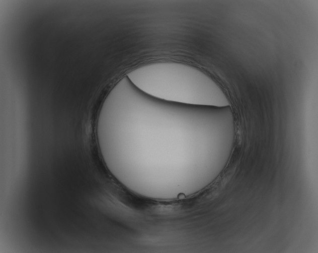 X0000101180314200806270832