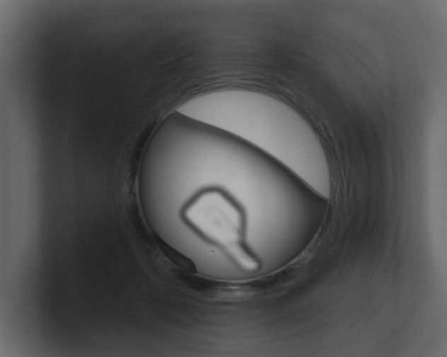 X0000101180316200806270832