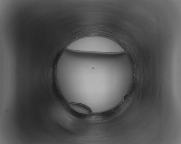 X0000101180319200806270832