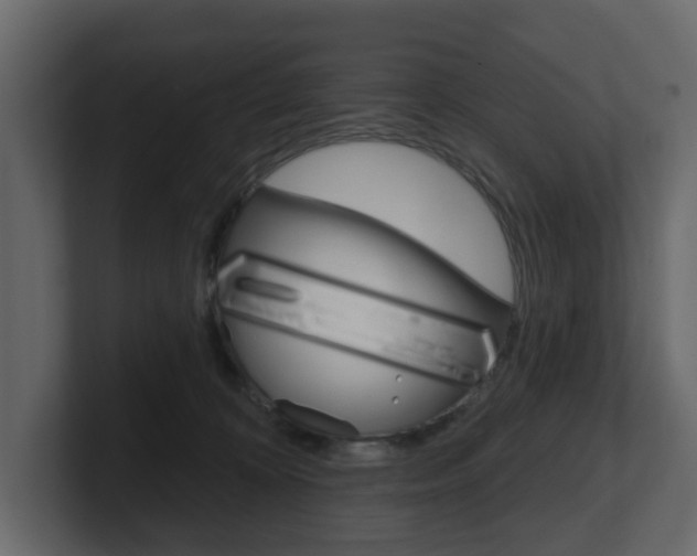 X0000101180324200806270832