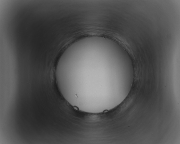 X0000101180325200806270832