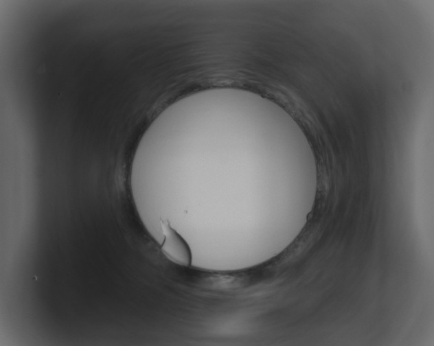 X0000101180326200806270832