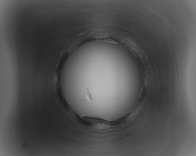 X0000101180327200806270832