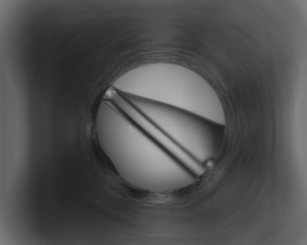 X0000101180328200806270832