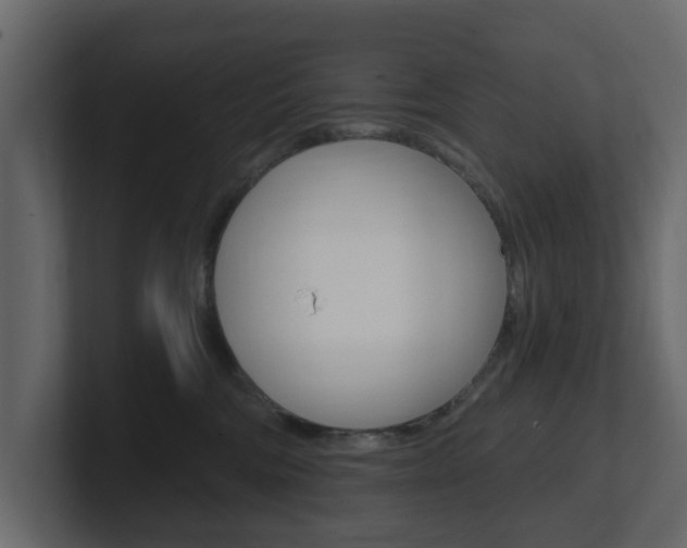 X0000101180330200806270832