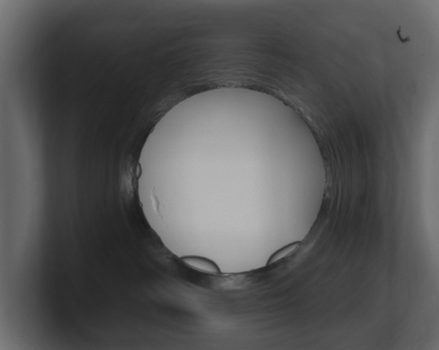 X0000101180334200806270832