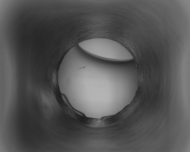 X0000101180335200806270832