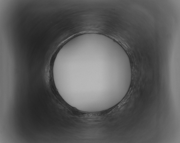 X0000101180338200806270831
