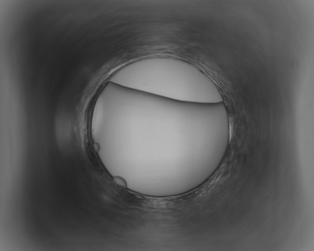 X0000101180339200806270831