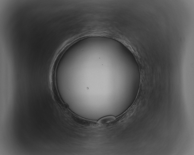 X0000101180340200806270831