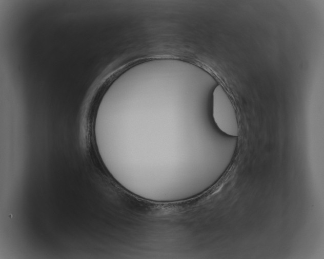 X0000101180343200806270831