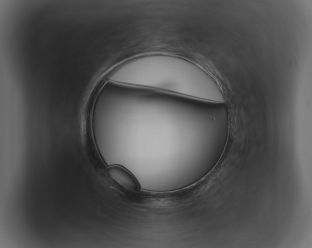 X0000101180344200806270831